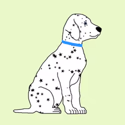 Dalmatians #0142