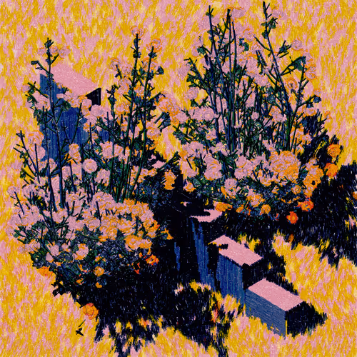 Sunlight through Wild Roses by Nat Sarkissian