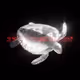 6240