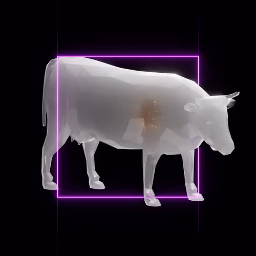 Di Animals