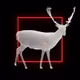 6204