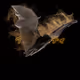 6201