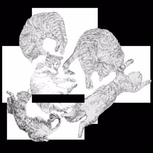 GIANT - 7EUCtGLTOr