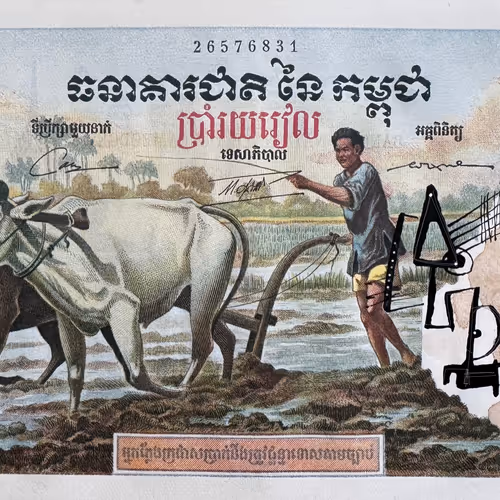Vache de Riels 500