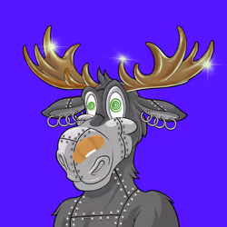 Moose Yacht Club NFT #63