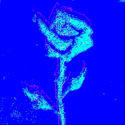 Rot Then Bloom