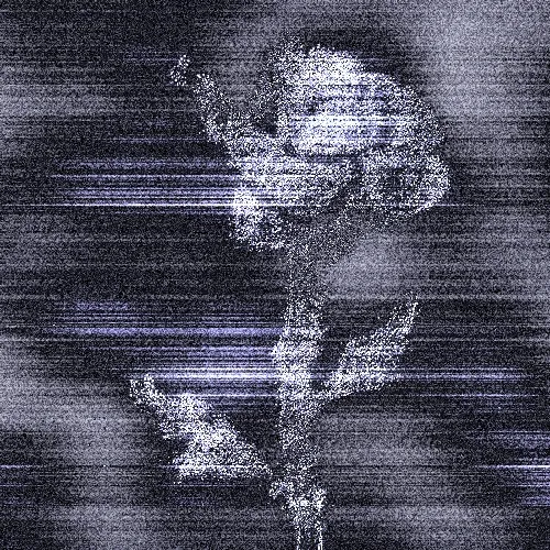 Rot, then Bloom #41
