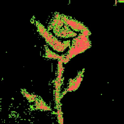 Rot, Then Bloom