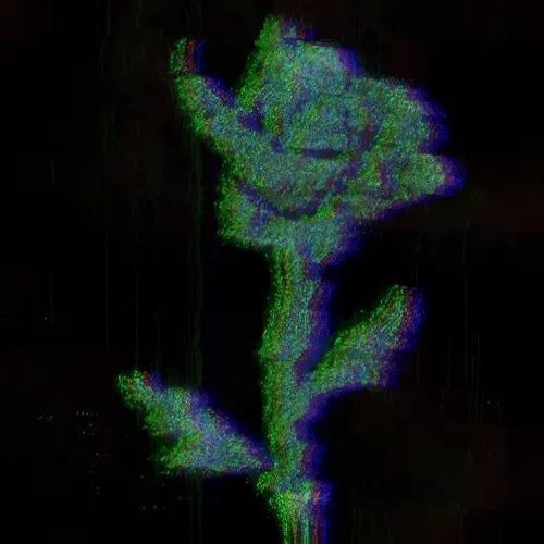 Rot, then Bloom #44