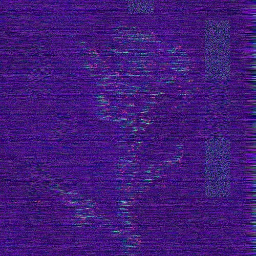 Rot Then Bloom
