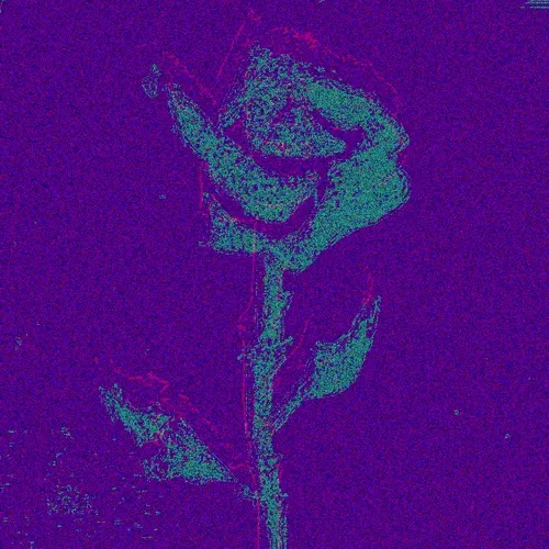 Rot Then Bloom