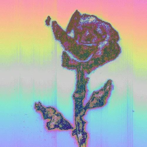 I can't lose you