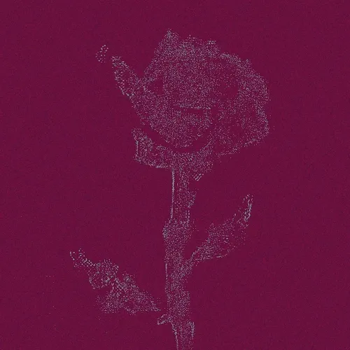 Rot Then Bloom
