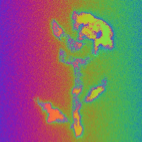 Rot Then Bloom