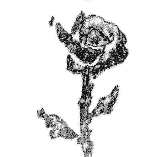 Rot Then Bloom
