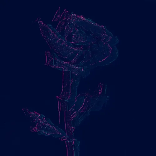 Rot Then Bloom