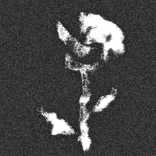 Rot Then Bloom