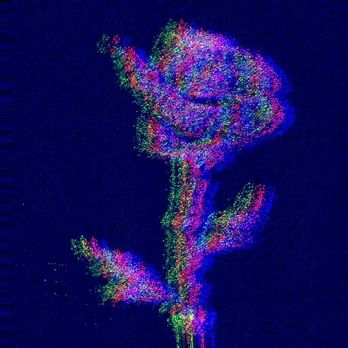 Rot Then Bloom