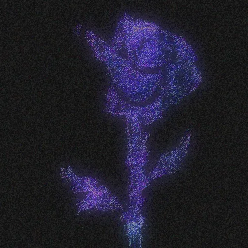 Rot Then Bloom