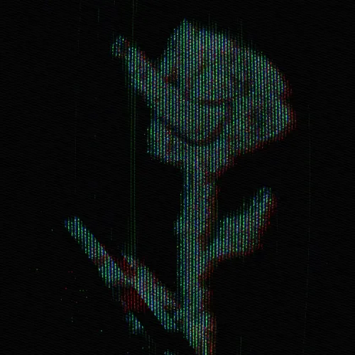 Rot Then Bloom