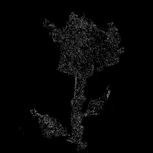Rot Then Bloom