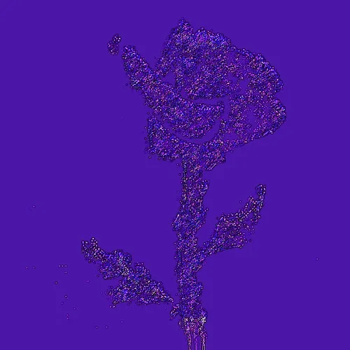 Rot Then Bloom
