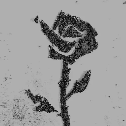 Rot, then Bloom #26
