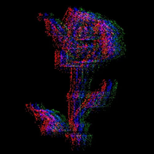 Rot Then Bloom