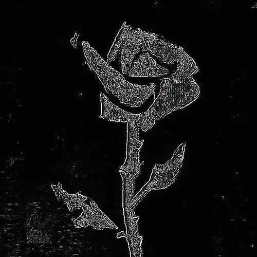 Rot, then Bloom #25