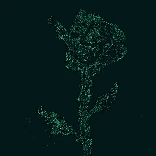 Rot Then Bloom