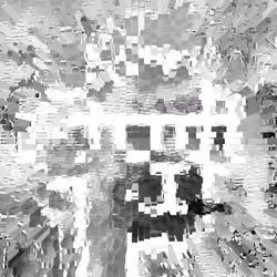Deconstructed Punk'd Ape #370