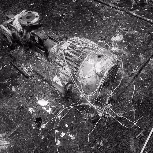 Trespassers Will Be Cute