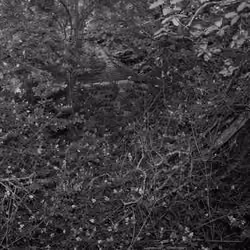 Hidden