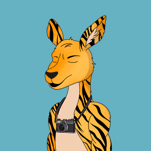 Sleepykangaroos