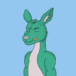 Sleepy Kangaroos #63