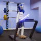 5858
