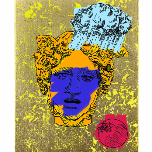 Medusacollection