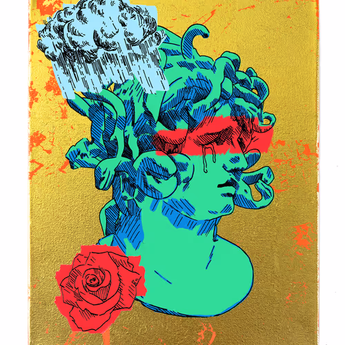 Medusacollection