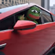 Cybertruck PEPE FU