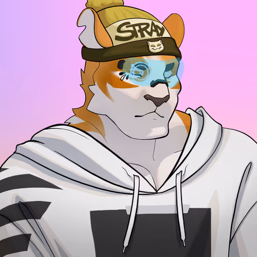 Straycatsnft