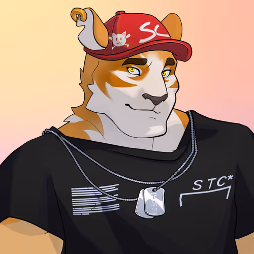 Straycatsnft