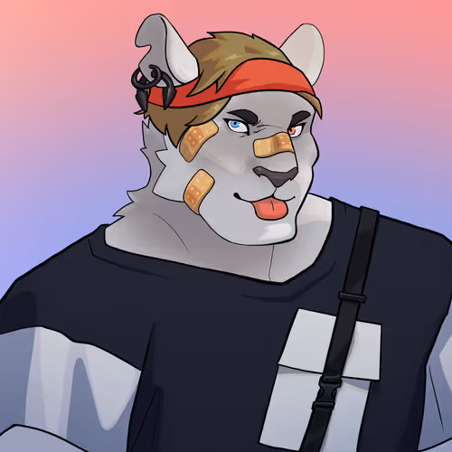 Straycatsnft