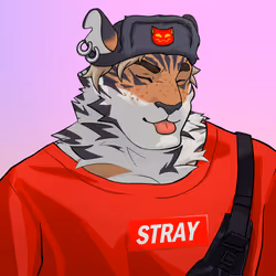 Stray Cat #164