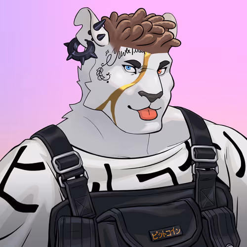 Straycatsnft