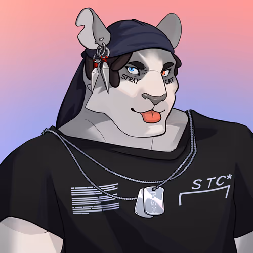 Straycatsnft