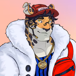 Stray Cat #1205