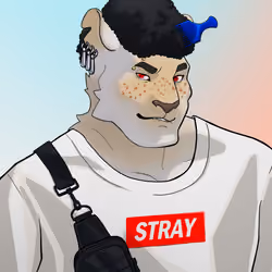 Stray Cat #612