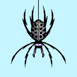 SPID3RZ by BUDZ #208