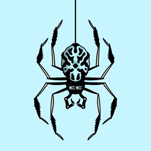 Spid3rz By Budz