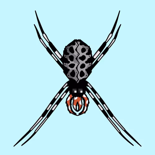 Spid3rz By Budz